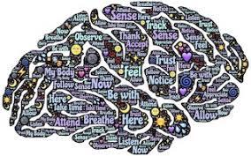 Image of a brain with many different words contained within the different sections describing various sensations, actions, and thought processes